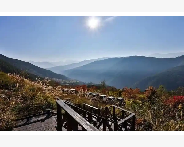 清热肃肺化痰止咳：中医科普指南