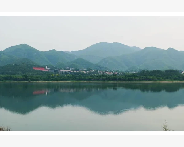清热降火解毒汤配方及用法——中医科普文章